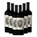 Sapo de Otro Pozo (caixa)